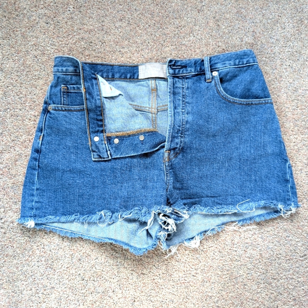 Everlane The Cheeky Denim Short
